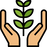 nhwstar.org